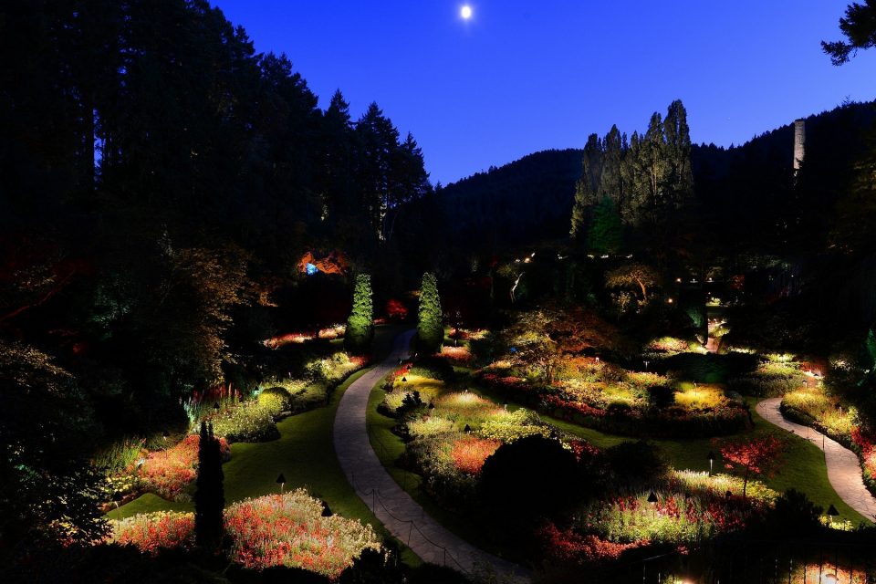 Night Illumination Butchart Gardens